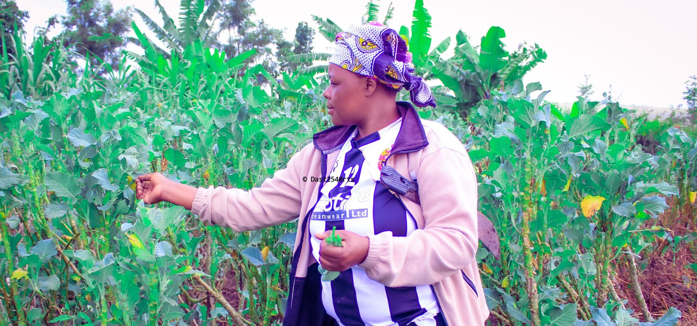 WhatsApp Image 2024-06-11 at 7.27.26 AM(1)