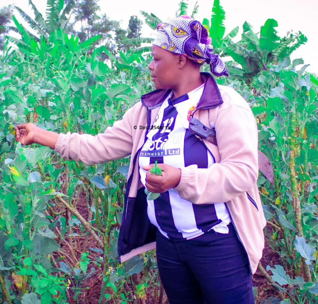 The Future of Farming: Embracing Sustainable Agricultural Practices